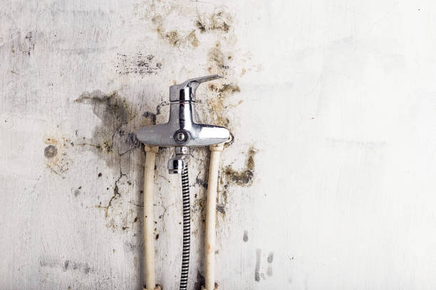 Best Bathroom Mold Remediation in Marbury, AL