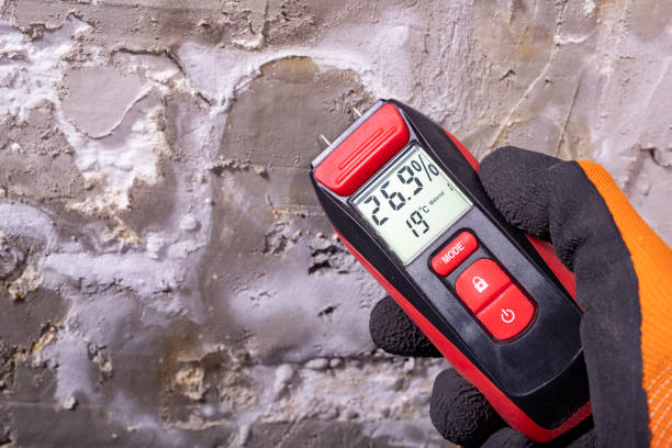 Best Mold Remediation for Specific Building Types in Marbury, AL
